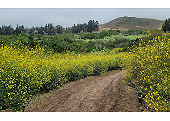 Orange Hiking Trails Peters Canyon Regional Park