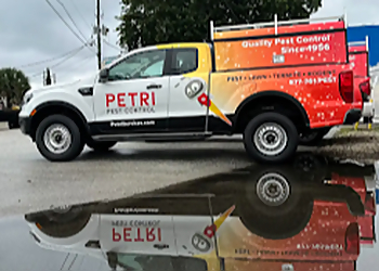 Pompano Beach Pest Control Companies Petri Pest Control Services