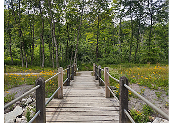 Kenosha Hiking Trails Petrifying Springs Park