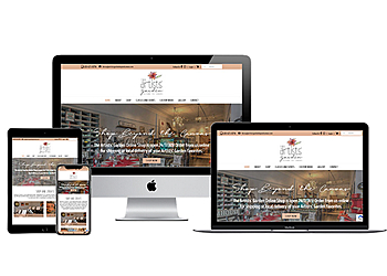 Rockford Web Designers Petry Design, Inc