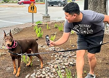Austin Dog Walkers Pets Domain ATX
