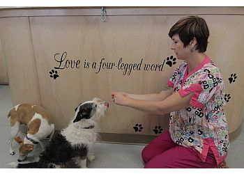 Sunnyvale Veterinary Clinics Pet's Friend Animal Clinic