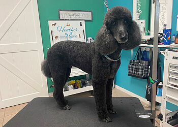 3 Best Pet Grooming in Port St Lucie, FL - Expert Recommendations