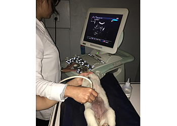 Pasadena Veterinary Clinics Petsadena Animal Hospital