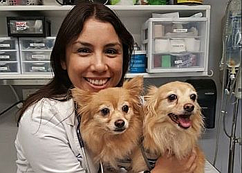 Pasadena Veterinary Clinics Petsadena Animal Hospital