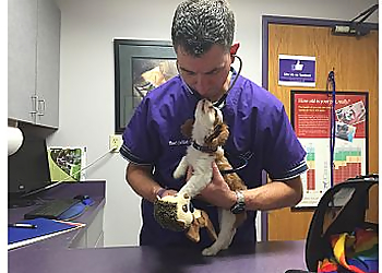 Overland Park Veterinary Clinics Petworks Veterinary Hospital