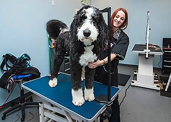 Baton Rouge Pet Grooming Petz Plaza