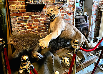 Augusta Places To See Pexcho's American Dime Museum