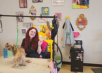 Amarillo Pet Grooming Phat and Sassy Dog Grooming