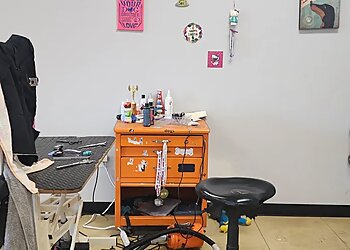 Amarillo Pet Grooming Phat and Sassy Dog Grooming