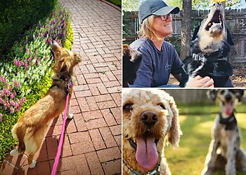 Oklahoma City Dog Walkers Phelps Family Pet Sitters