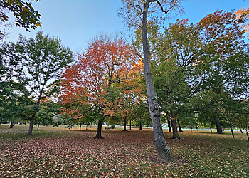 Springfield Public Parks Phelps Grove Park