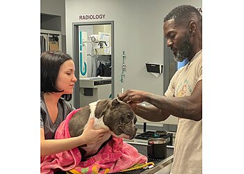 Philadelphia Veterinary Clinics Philadelphia Animal Hospital