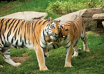 Philadelphia Places To See Philadelphia Zoo