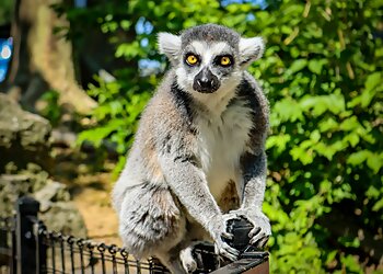 Philadelphia Places To See Philadelphia Zoo