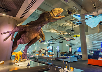 Miami Museums Phillip and Patricia Frost Museum of Science
