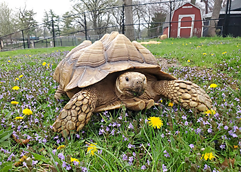 Aurora Places To See Phillips Park Zoo