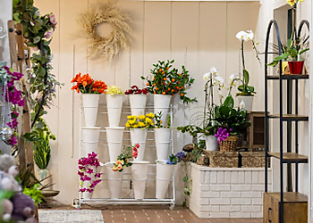 Abilene Florists Philpott Florist and Greenhouses
