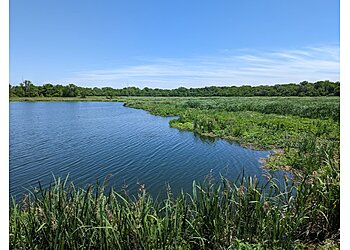 Augusta Hiking Trails Phinizy Swamp Nature Park