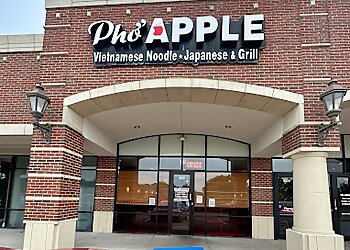 Plano Vietnamese Restaurants Pho Apple
