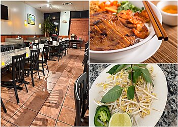 Plano Vietnamese Restaurants Pho Apple