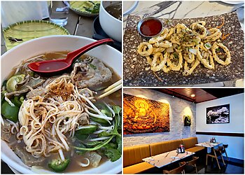 Wilmington Vietnamese Restaurants Pho Vanhly Noodle House