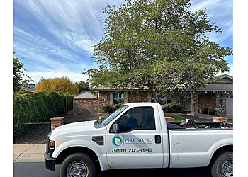 Phoenix Pro Landscaping & Lawn Care Services Gilbert Lawn Care Services image 1