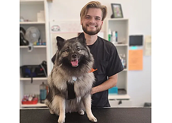 Las Vegas Pet Grooming Piggy Tails Pet Spa & More