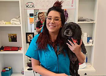 Las Vegas Pet Grooming Piggy Tails Pet Spa & More