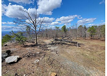Winston Salem Hiking Trails Pilot Mountain State Park