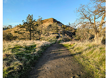 Pincushion Peak Trailhead Clovis Hiking Trails image 1
