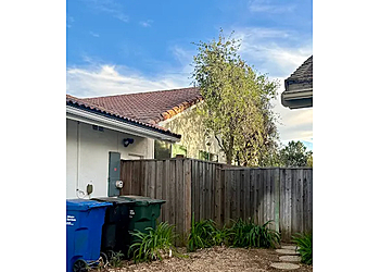 Los Angeles Tree Services Pineda's Tree Care Inc