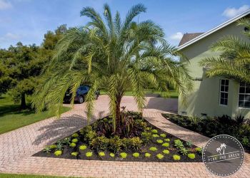 Pink and Green Lawn Care and Landscape Pembroke Pines Lawn Care Services