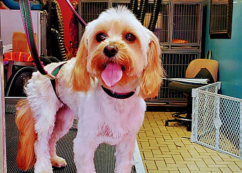 Pinkybly Pet Grooming Salon