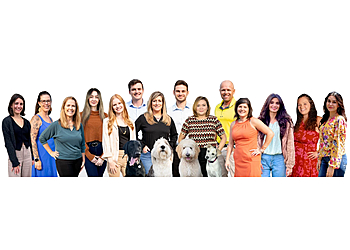 Minneapolis Insurance Agents Pinnacle Insurance Agency of Minnesota, LLC