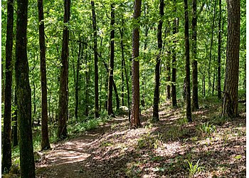 Little Rock Hiking Trails Pinnacle Mountain State Park