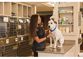Kansas City Veterinary Clinics Piper Heritage Veterinary Clinic
