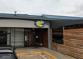 Arlington Sushi Piranha Killer Sushi