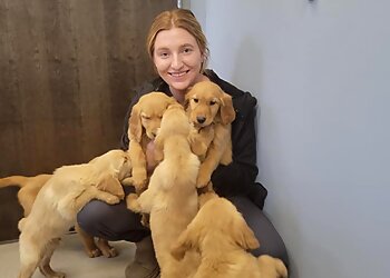 Lincoln Veterinary Clinics Pitts Veterinary Hospital