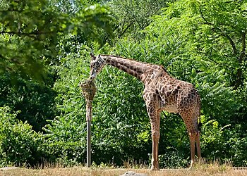 Pittsburgh Places To See Pittsburgh Zoo & Aquarium