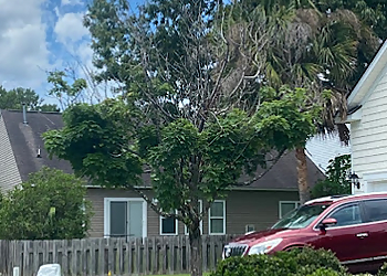 North Charleston Tree Services Planet Green Tree Service