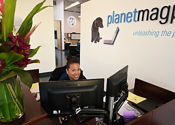 Fremont It Services PlanetMagpie