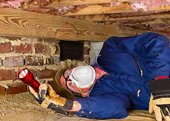 San Jose Pest Control Companies Planet Orange