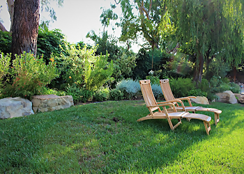Plant Persuasion Ventura Landscaping Companies image 1