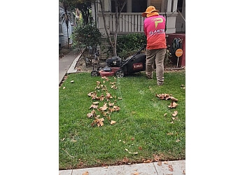 Planted Lawn & Landscaping - Fremont, CA Lawn Care Services - Field Work Image