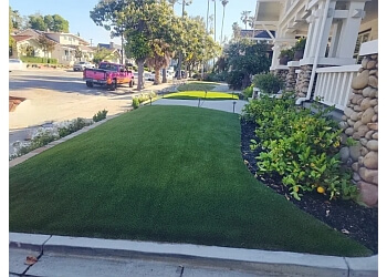 Planted Lawn & Landscaping - Fremont, CA Lawn Care Services - Job Site Image