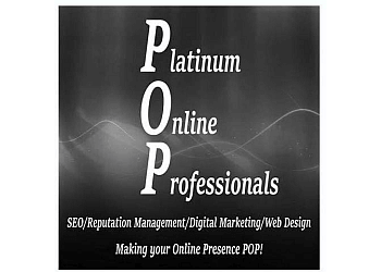 Platinum Online Professionals