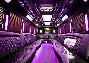 Cleveland Limo Service Platinum Party Bus