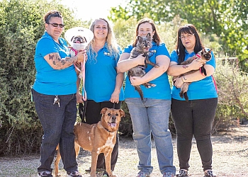 Mesa dog walker Play Time Pet Care, LLC