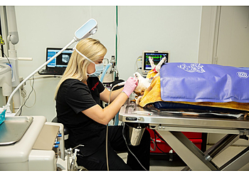 Little Rock Veterinary Clinics Pleasant Valley Veterinary Clinic